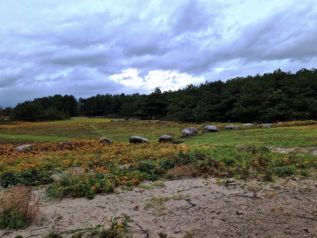 6 personers sommerhus ved Bjerge Sydstrand