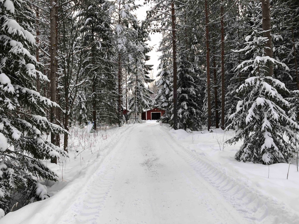 Kivijärvi湖边的Purola度假小屋