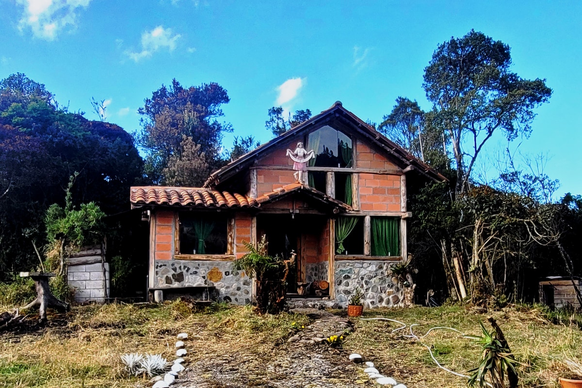 Cabaña rústica en la montaña