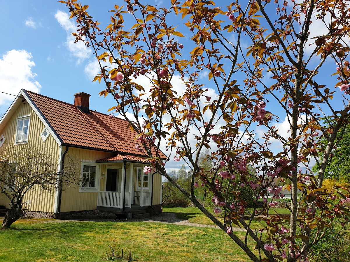 Mellan hav och natur med närhet till allt