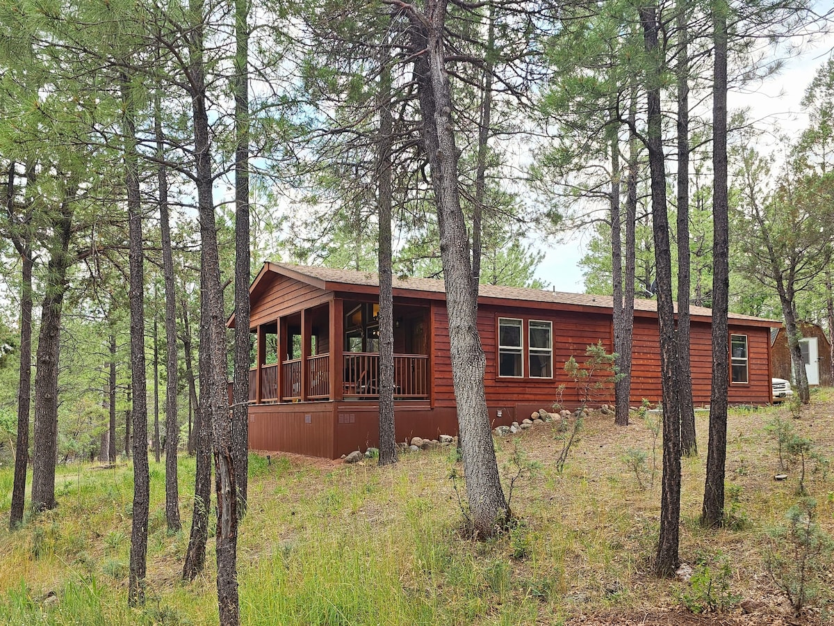 Cabin in the Tonto Pines