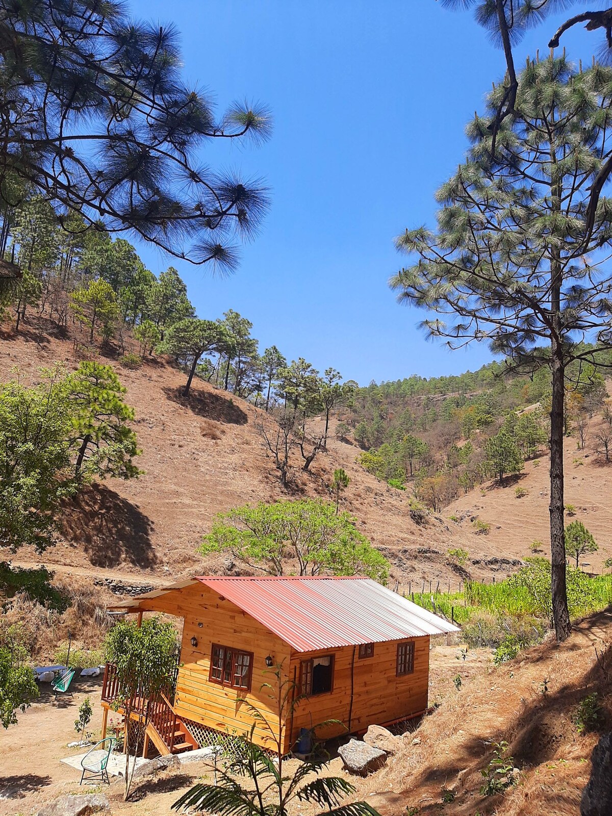 Cabañas Villa Los Pinos