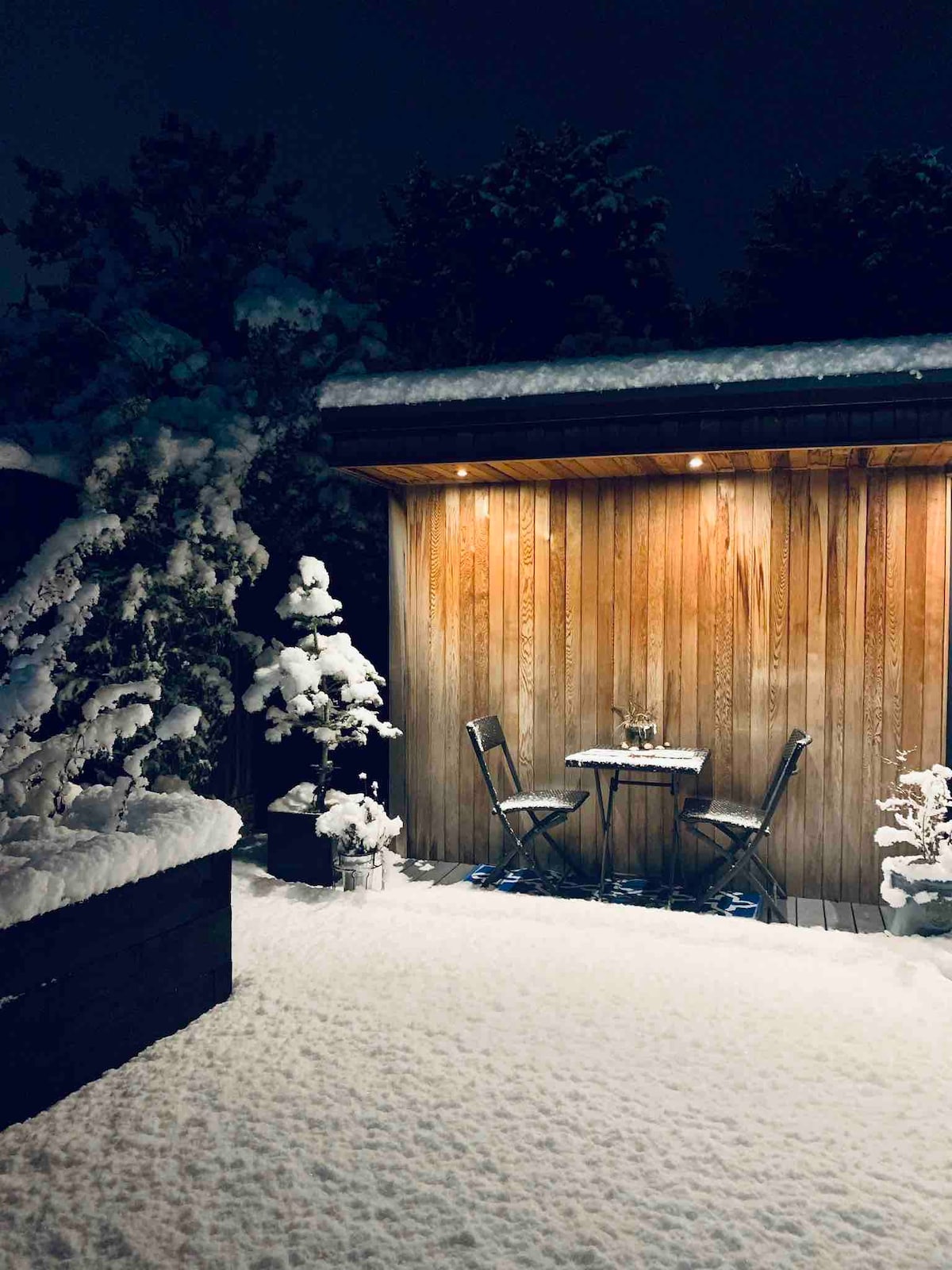 多宁顿城堡（ Castle Donington ）的「雪松保护区」。