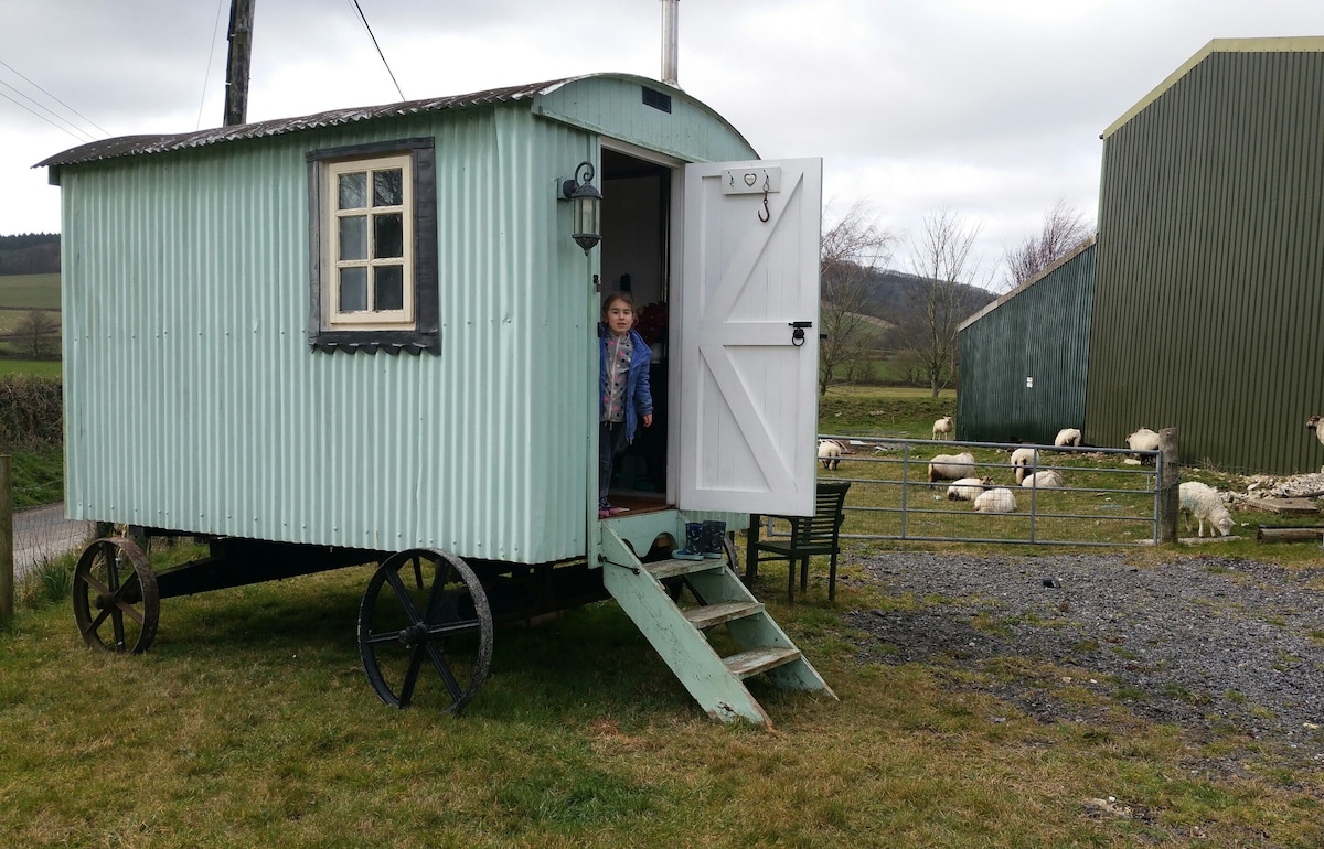 豪华露营牧羊人小屋South Downs