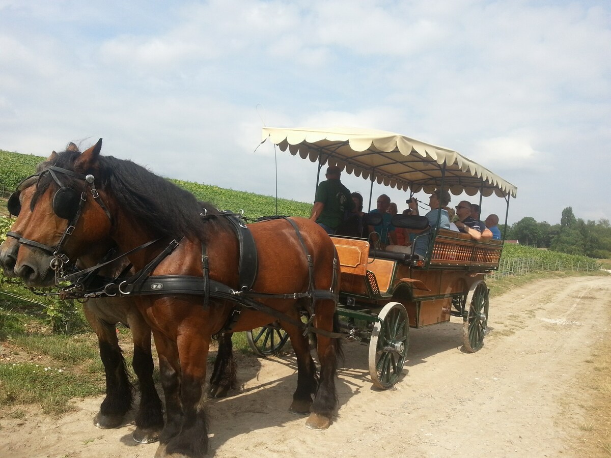 stable des Ardennais