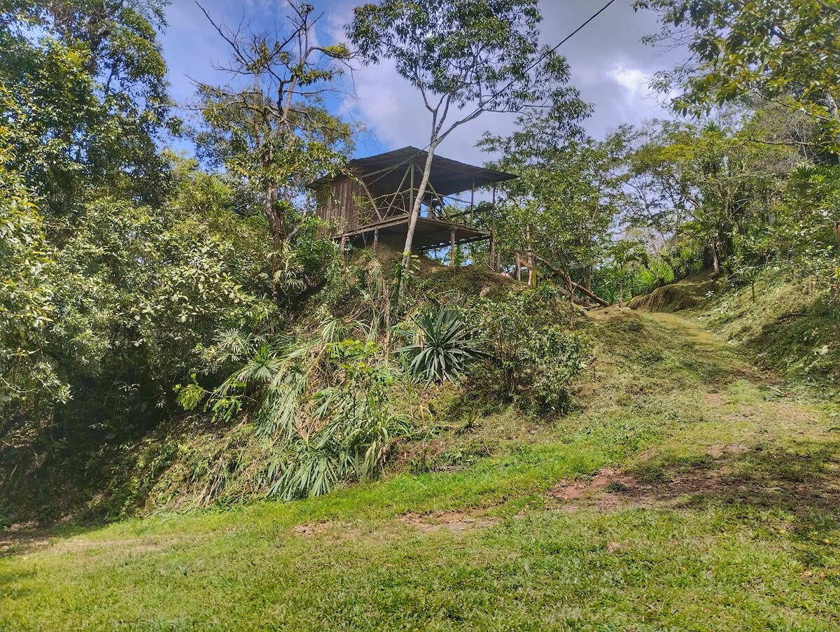 Casa de campo en la montaña