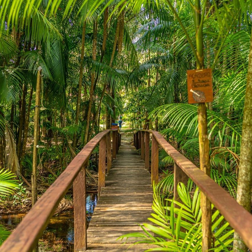 Casa da mata marajó
Chalé na floresta