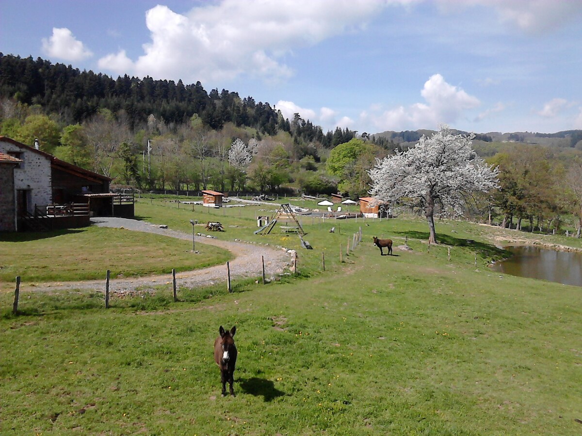 Gite des Contes Amérindiens, (Auvergne - Loire)