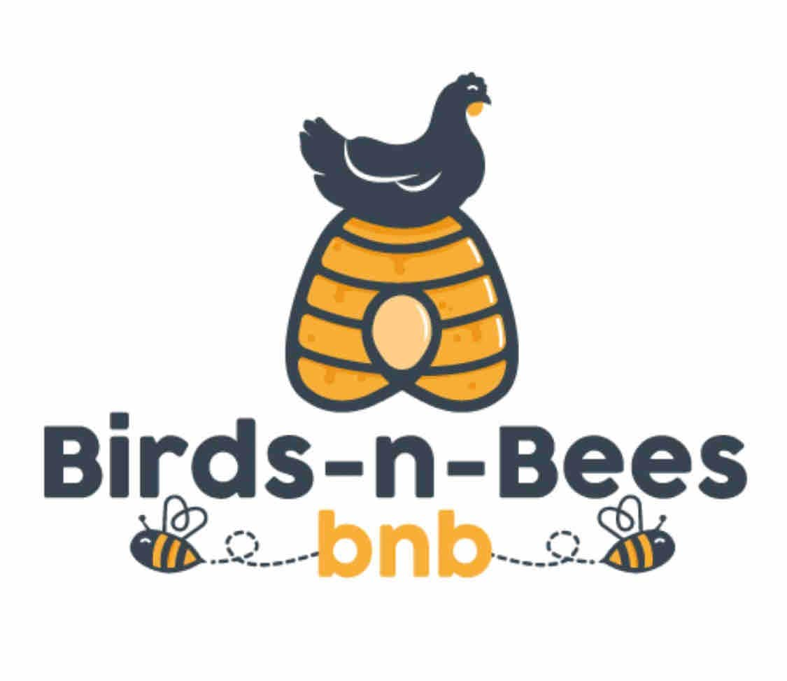 Birds-n-Bees bnb - Intown ATL - 1 Gig互联网