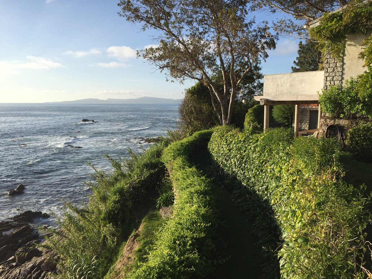 切斯群岛前面的海滨花园房屋