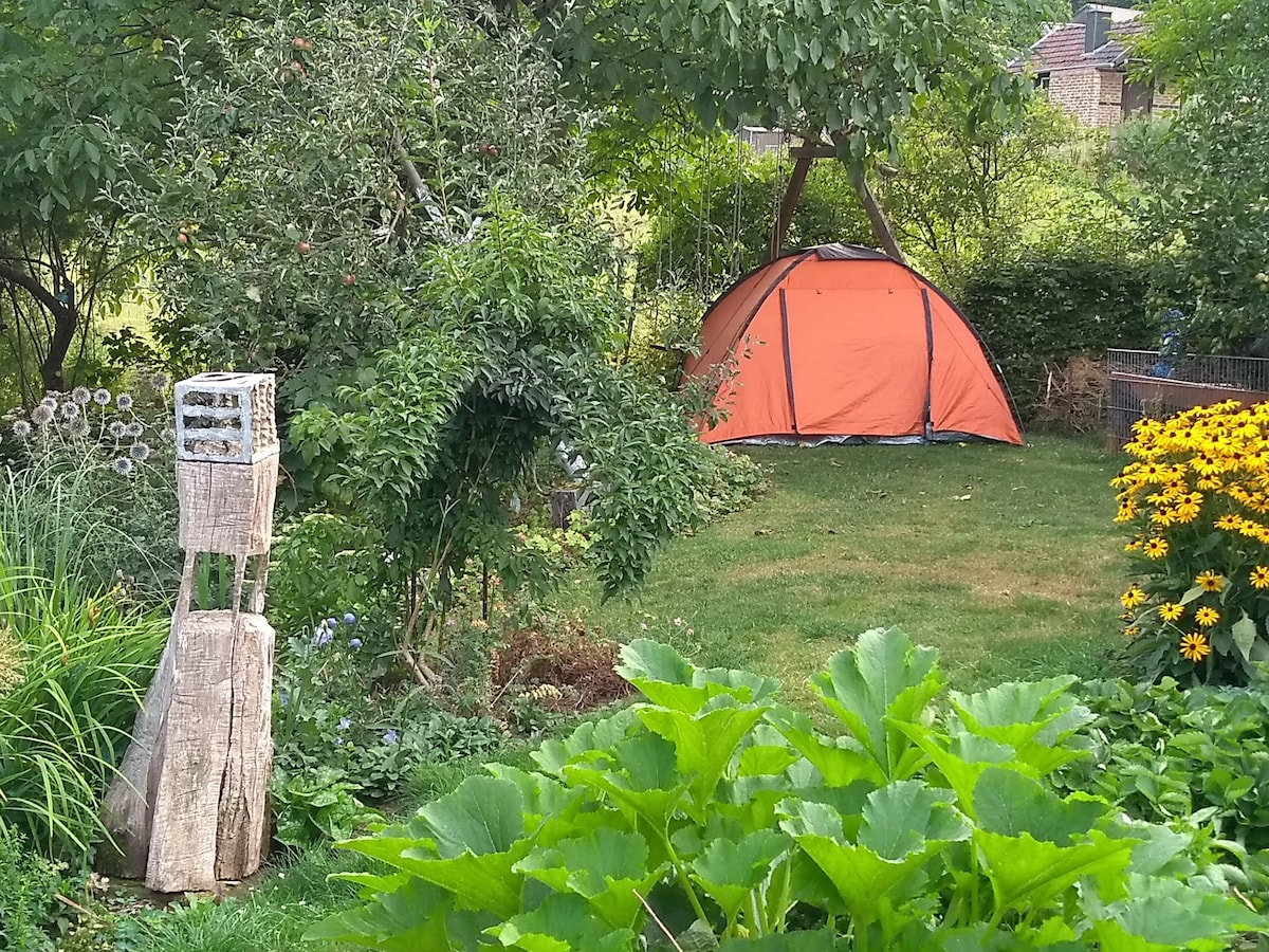 您在令人兴奋的花园里或出租的帐篷里