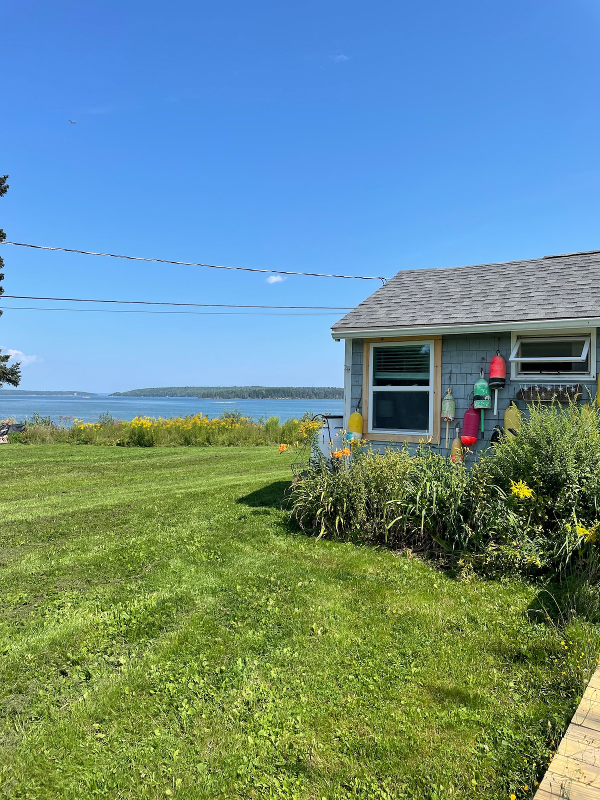 Salty套房{Oceanside Cottage/Near Acadia}