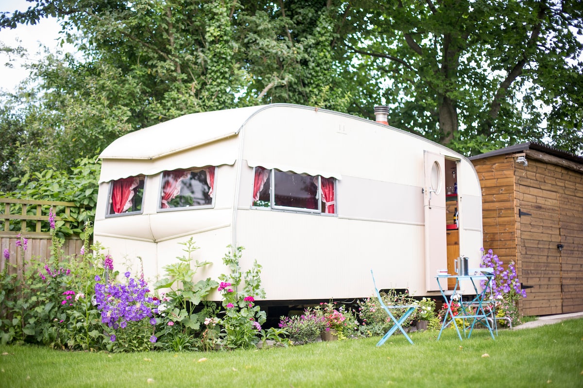 Willow VintageCaravan Bluebird Sunparlour Langport