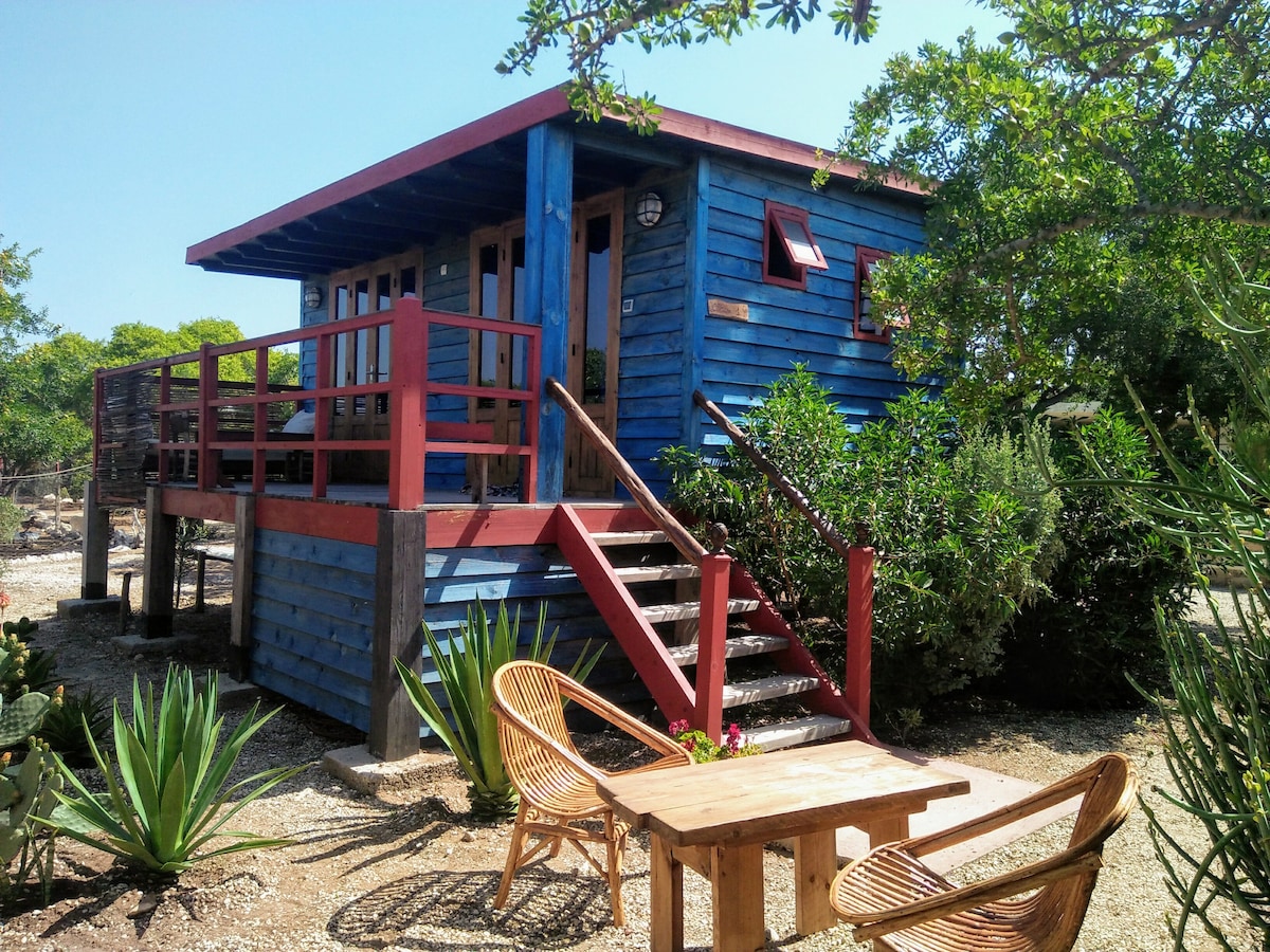 Cabane bleue en bois (2/3 pers) Bedobled