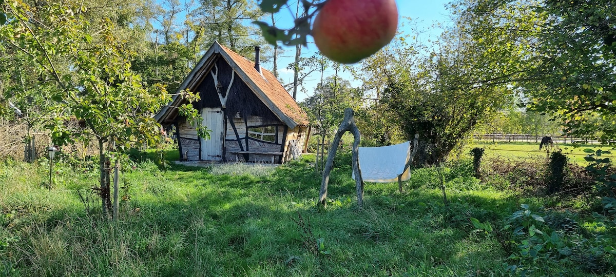 Fairytale cottage De Gapende Gans