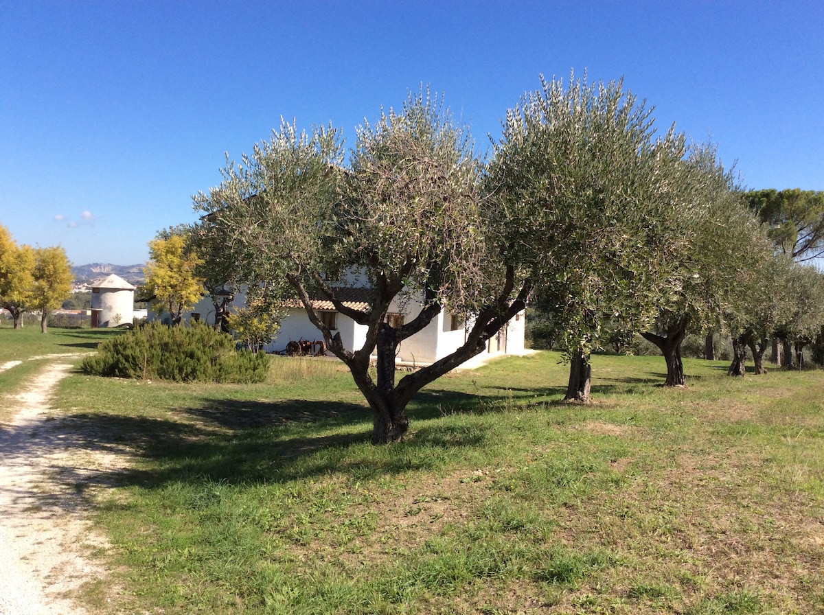 Agriturismo Le terre d 'Abruzzo Tenuta Grumelli