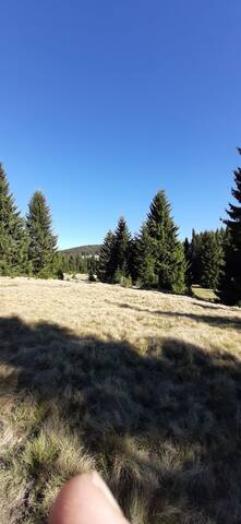 兹拉蒂博尔(Zlatibor)的民宿