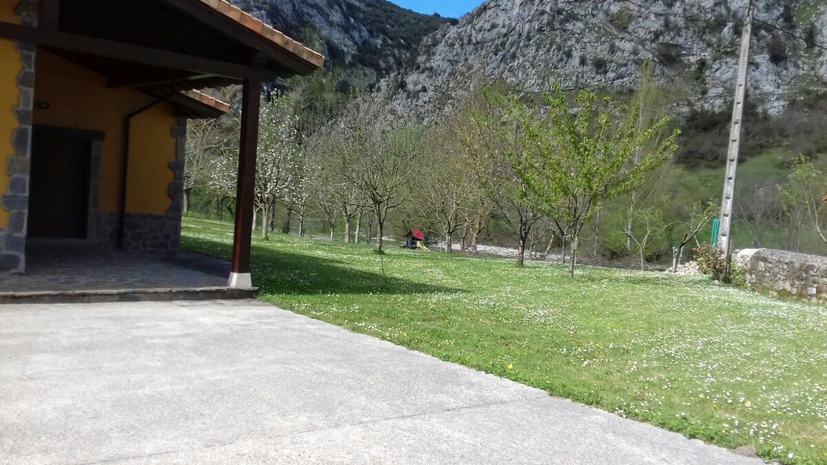 EL BALCON DEL CARES EN LOS PICOS DE EUROPA. VV.793