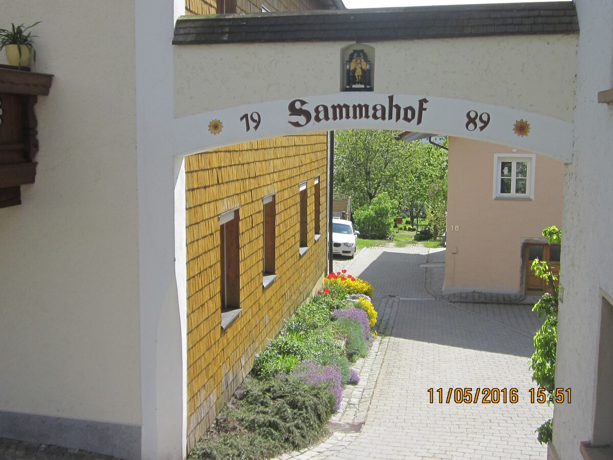 Ferienhaus Sammahof ，婆婆小屋，拜尔瓦尔德