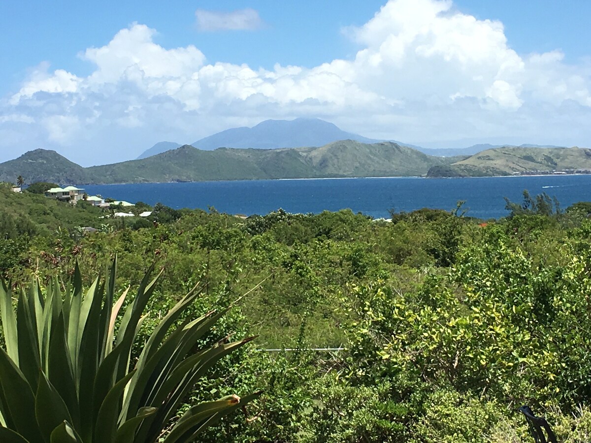 Red Ginger Villa - Amazing Caribbean Views