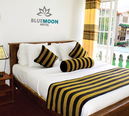 Blue Moon Hotel