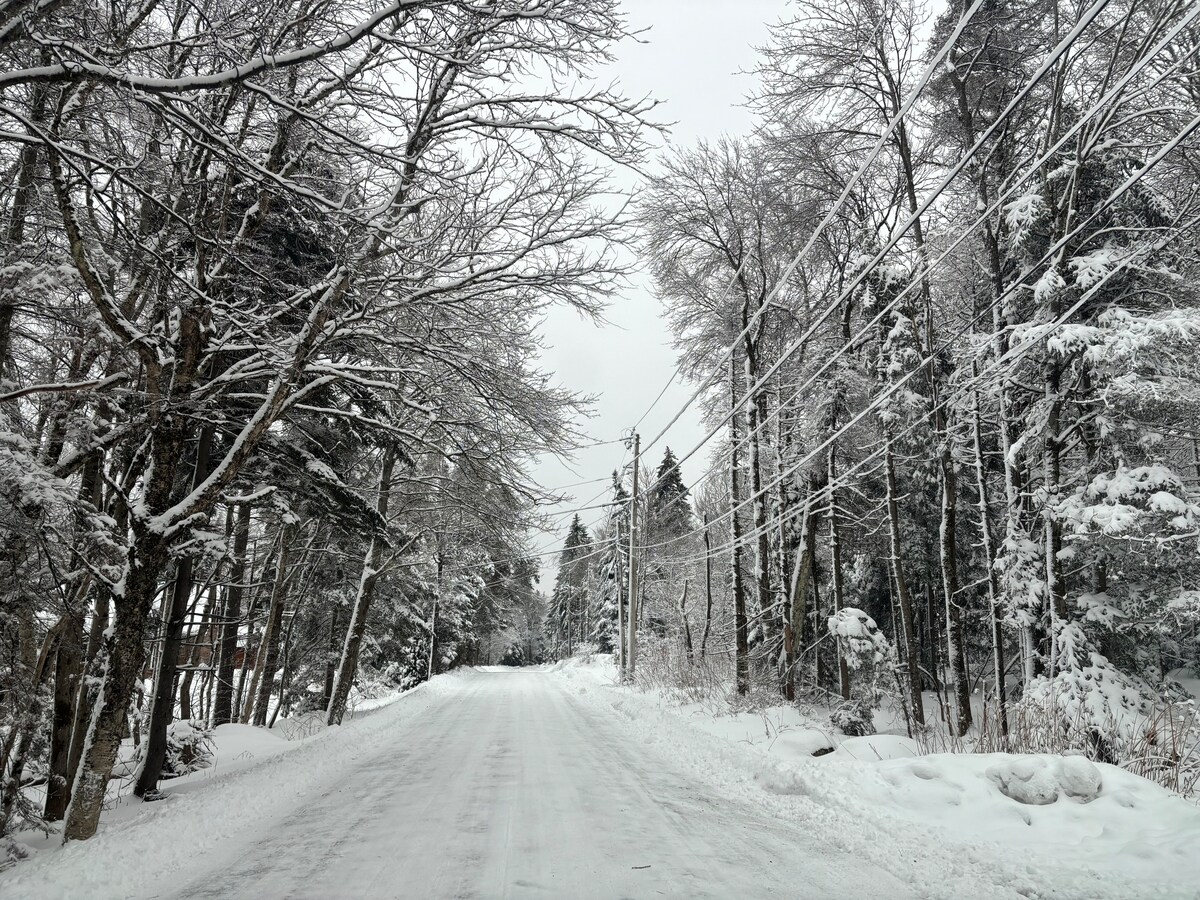 Cozy Cabin & Fun-Filled Barn *VAST access* Mt snow