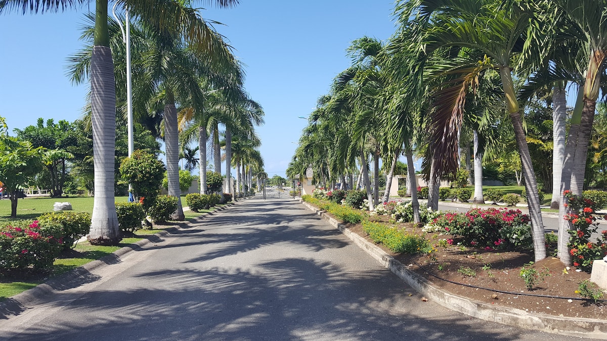 The Palms of Jamaica