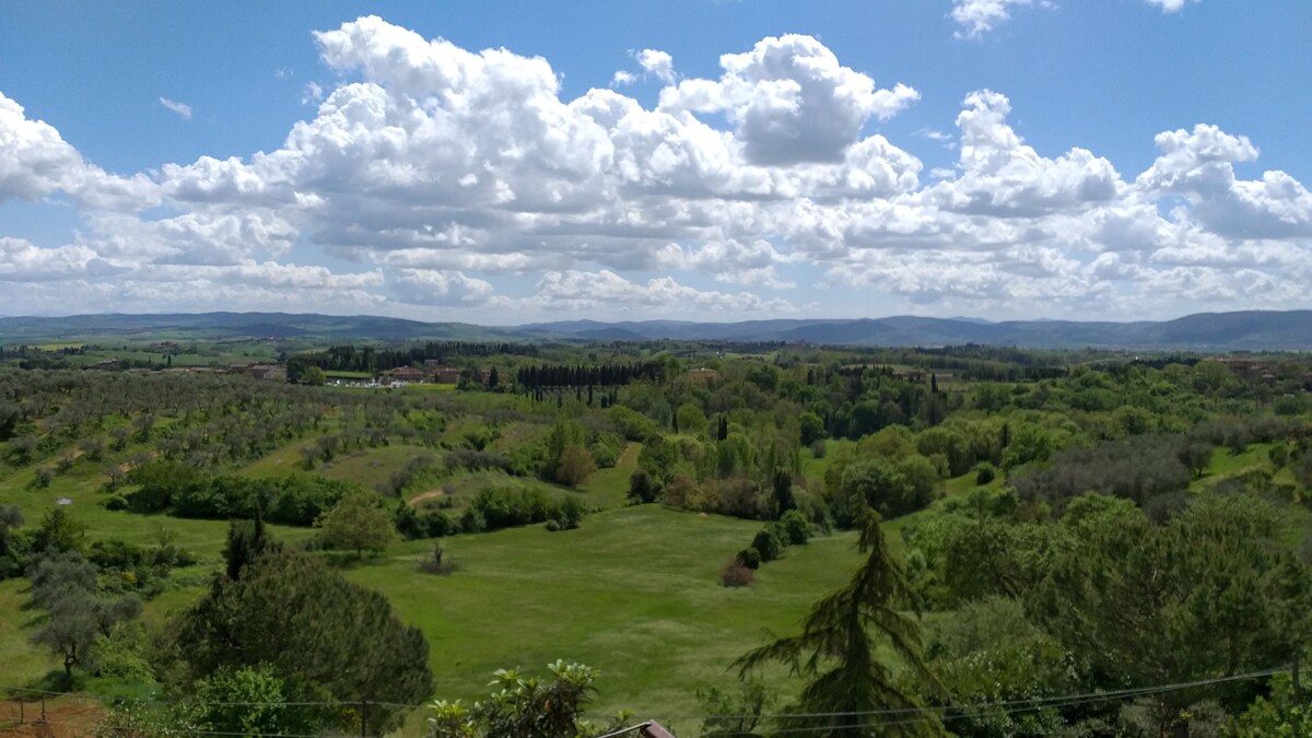 La Collinetta di Terrensano