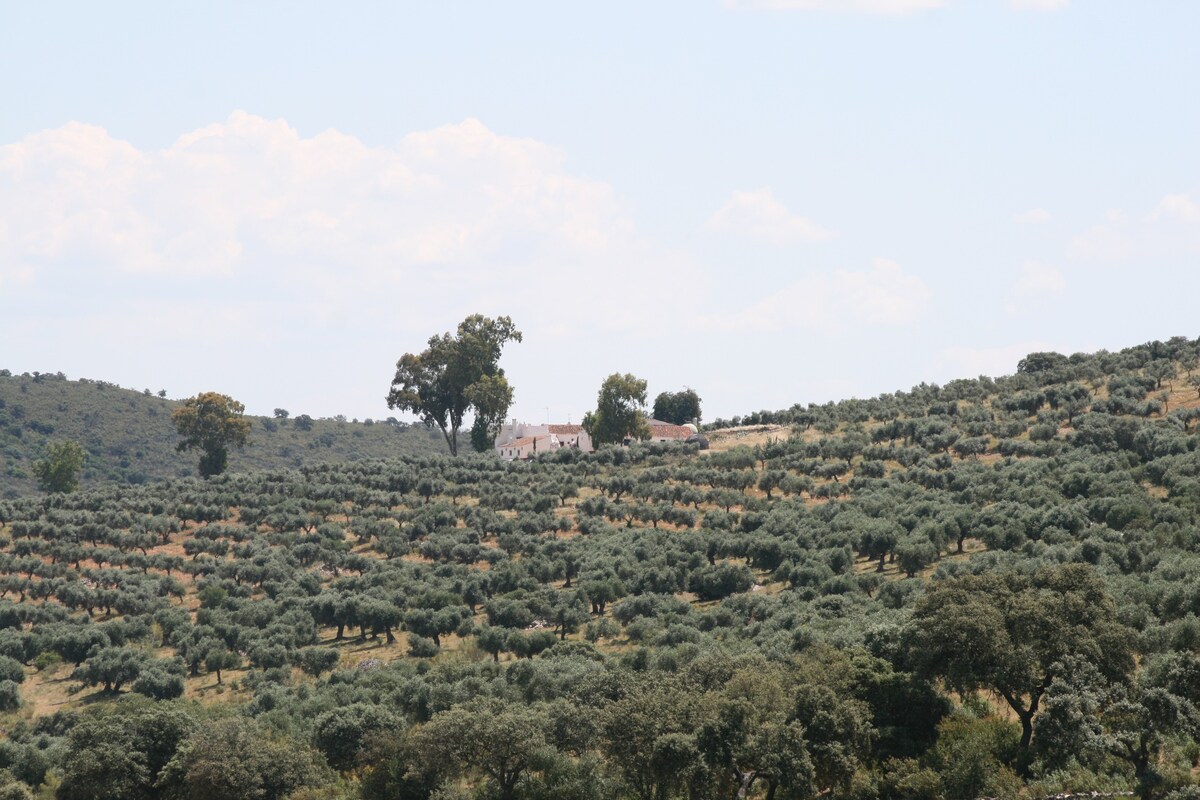 Casa Sierra de Mampar en Extremadura Naturalmente