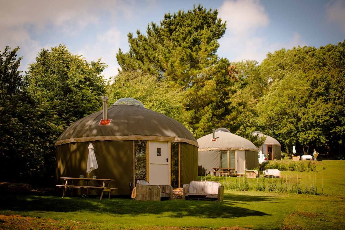 The Garlic Farm Yurts - Eric