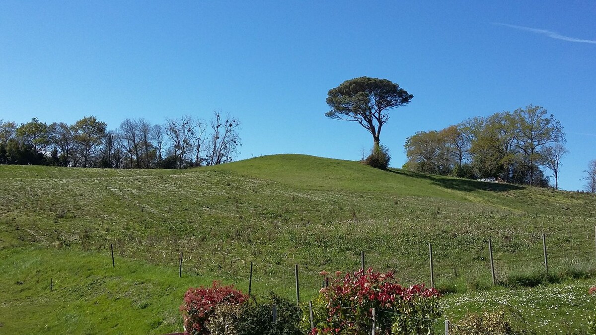 兰德斯（ Landes ）和巴斯克地区（ Basque Country ）