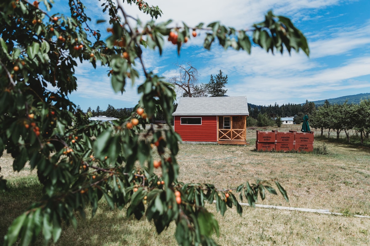 Curlew Orchard Mac Shack in the BX, Vernon.