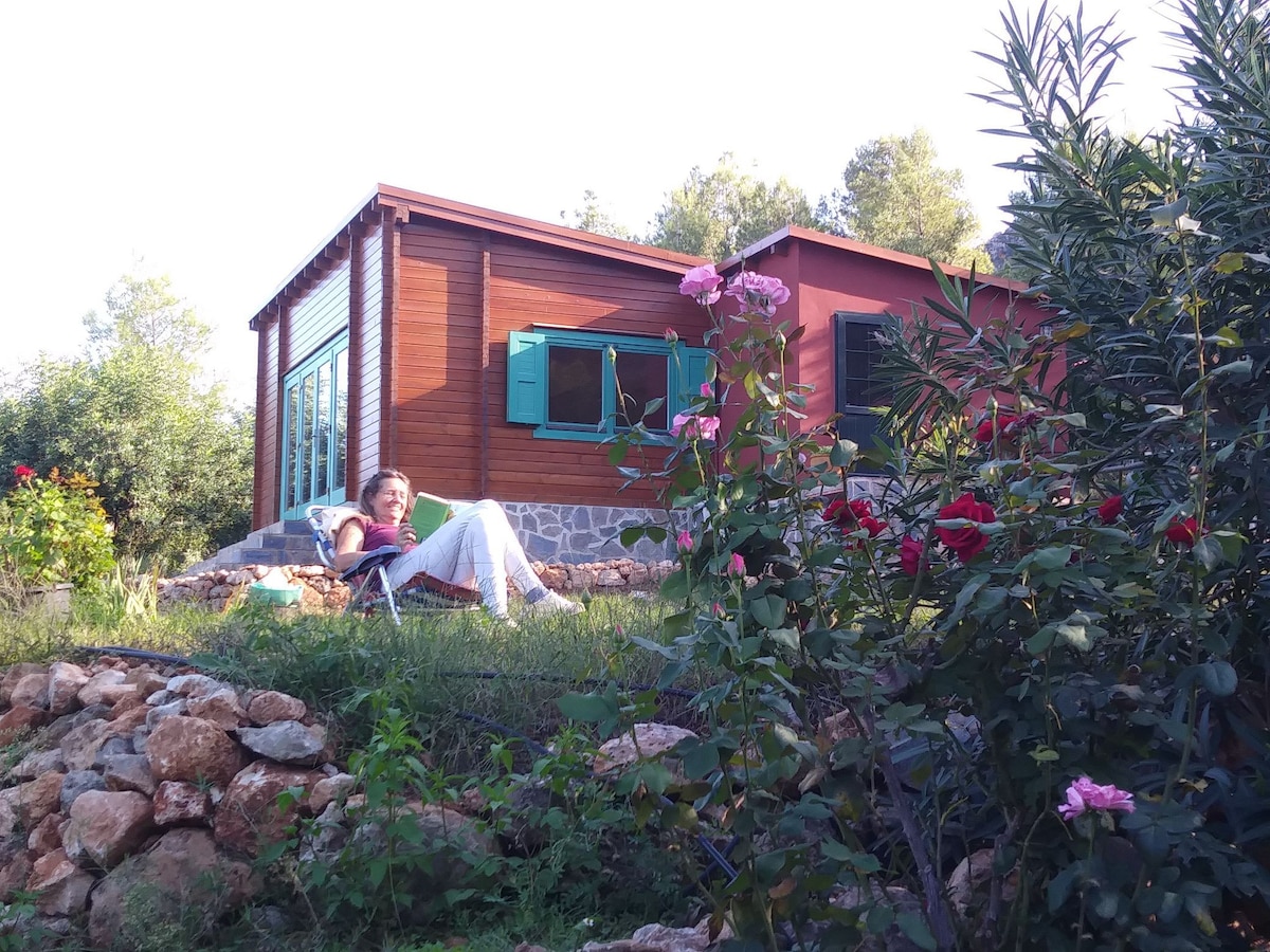 Sala de Yoga, multiusos en naturaleza + habitación