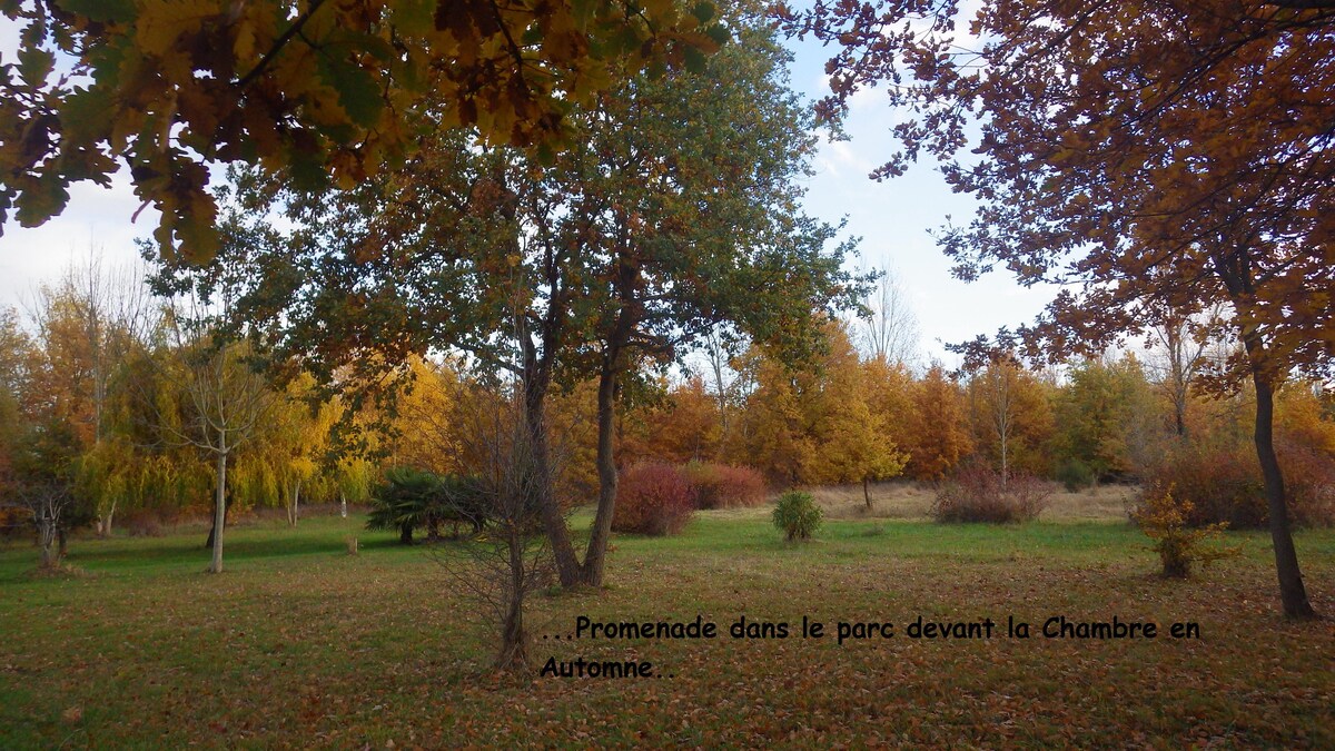 Chambre d'Hôte: La BASTIDE de ROME Calme et Nature