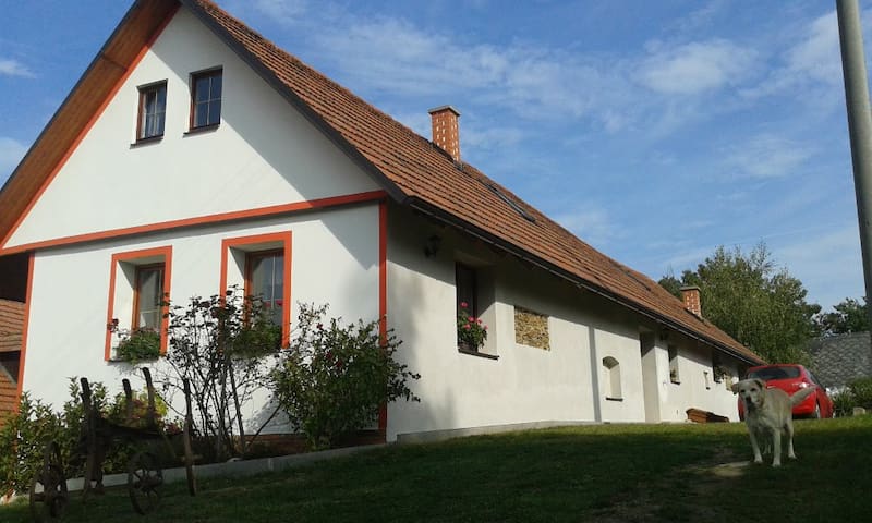 Blažejovice的民宿