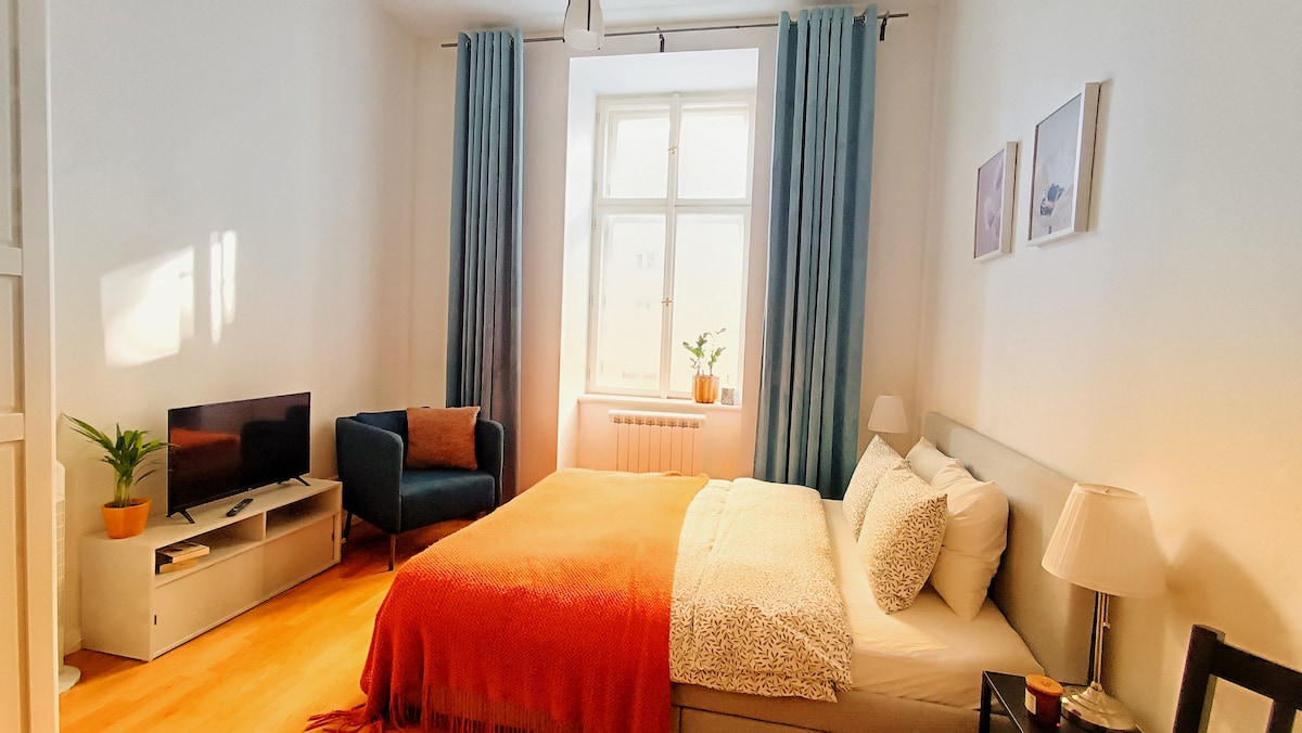 Cosy and Central Apart In Prague