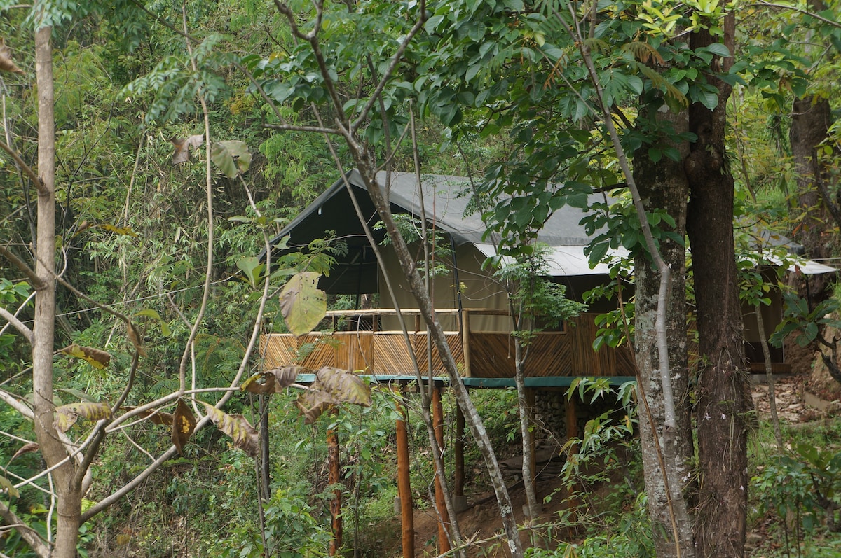 Bamboo House in Darjeeling West Bengal