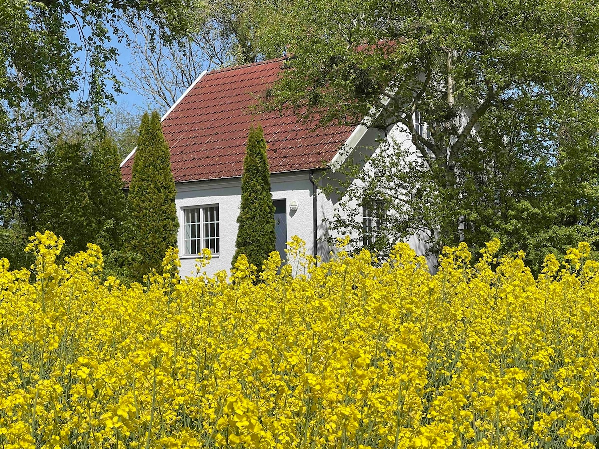 别墅位于庄园环境中， Ystad ， Österlen ， Skåne