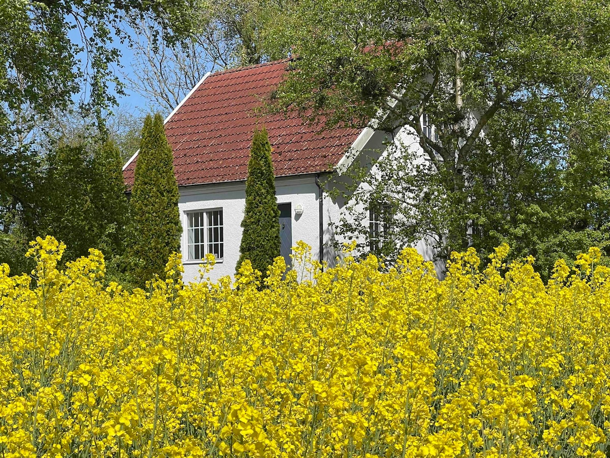 别墅位于庄园环境中， Ystad ， Österlen ， Skåne