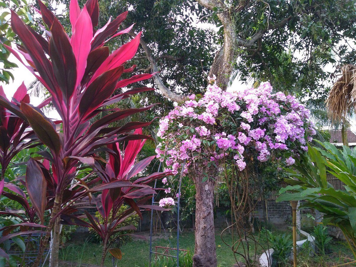 花园别墅，靠近Mataram和Senggigi的客栈