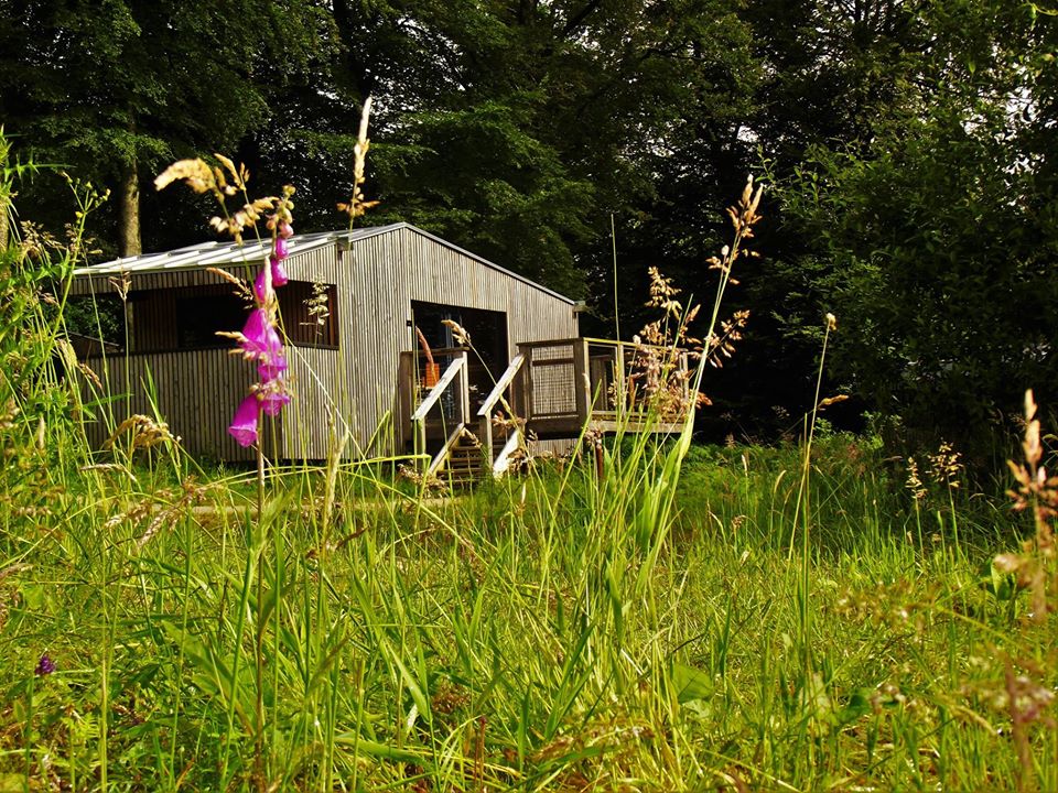 Chalet terrasse Normandie à L'ETAPE EN FORET