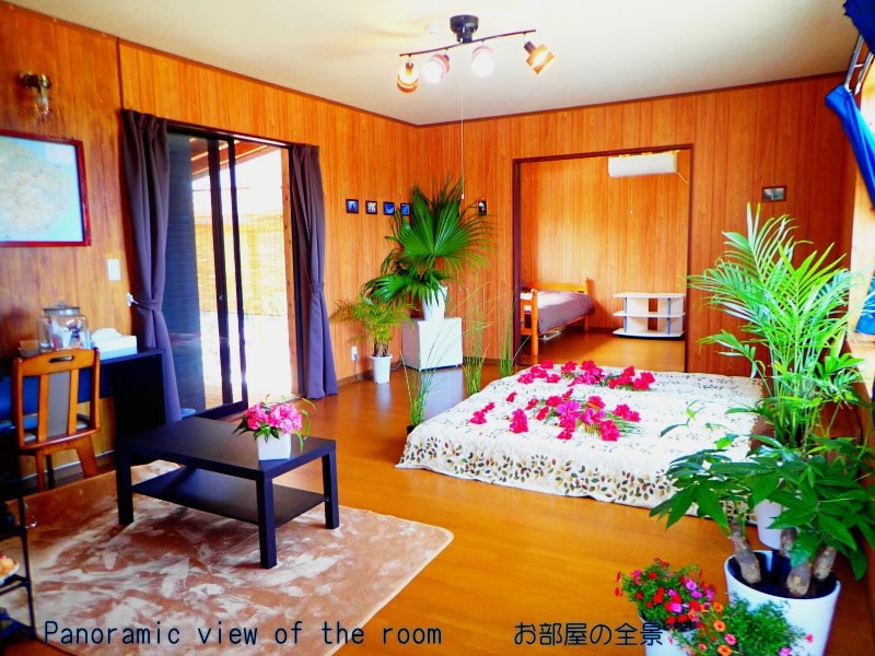 木岛小屋（ Yakushima Cottage ）位于科美森林（ Komai Forest ）内，窗户有天空和大海！