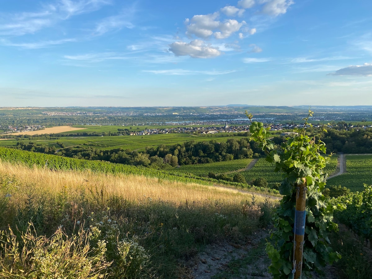 BALTHASAR RESS Guesthouse am Rebhang im Rheingau