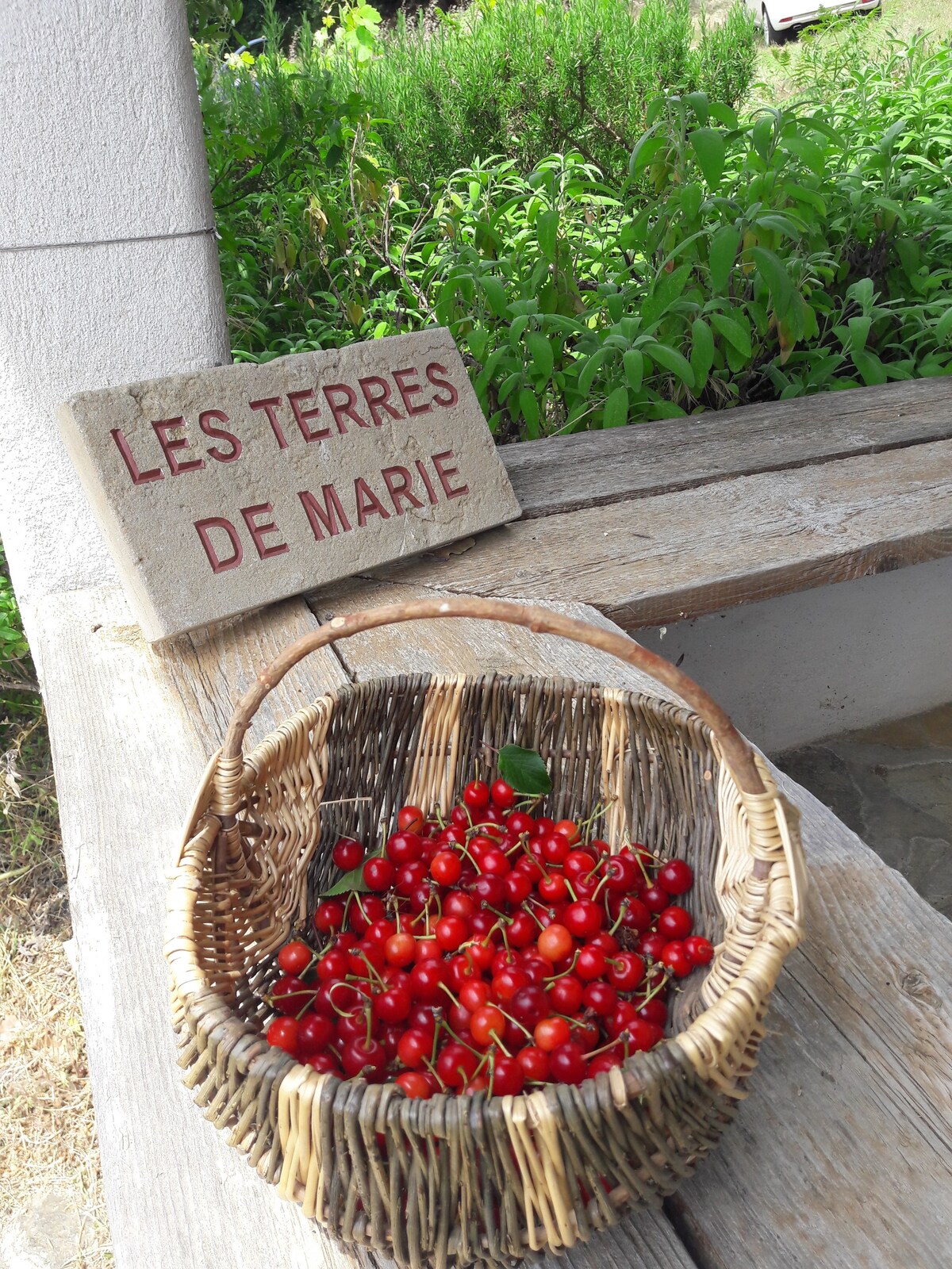 Maisonnette de campagne