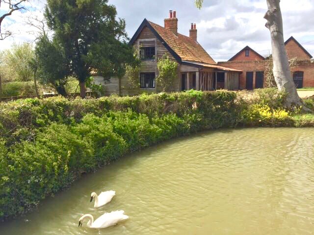 Fairytale Swan Cottage with a wild swimming pond