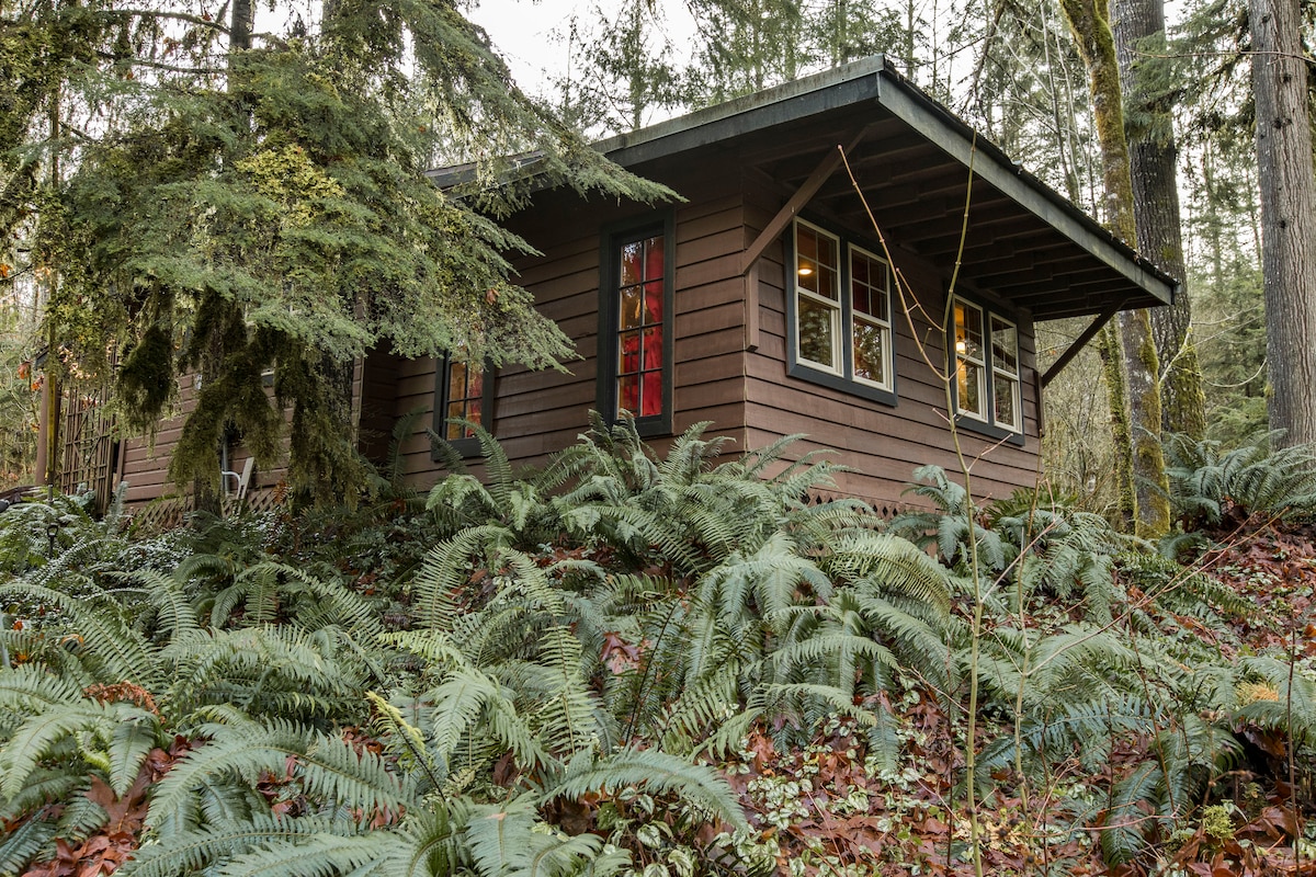 逃离贝克山、小屋、热水浴池和高速无线网络