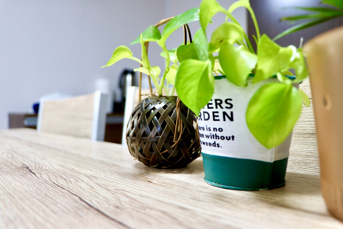 池袋圈内距车站仅6分 3个房间 最大可容纳9名 Toshima City民宿