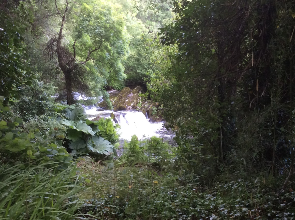 Mill Little Farm - Pond House - Coomhola Bantry !