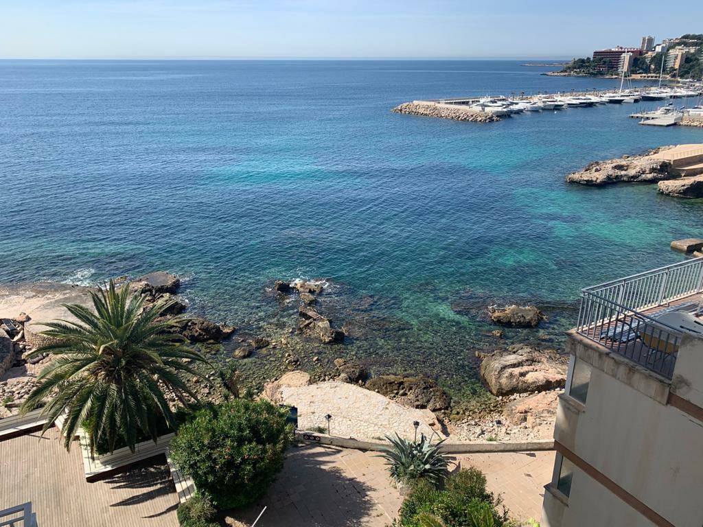 帕尔马(palma) · 公寓型住宅里的独立房间 · 马略卡圣奥古斯汀海边