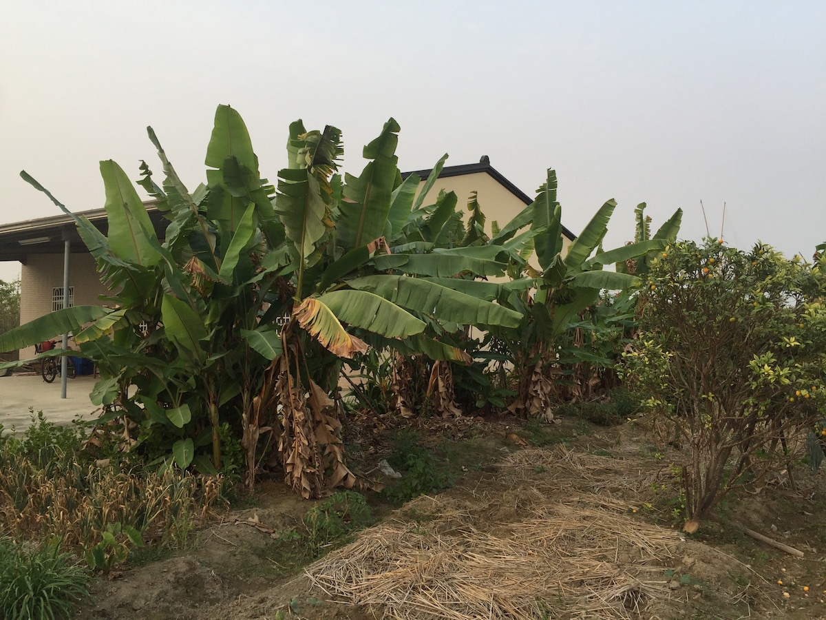 遠離人群，接觸土地，享受鄉居生活，近奇美博物館，離台南高鐵5公里。可分享自家當季農產和水果。